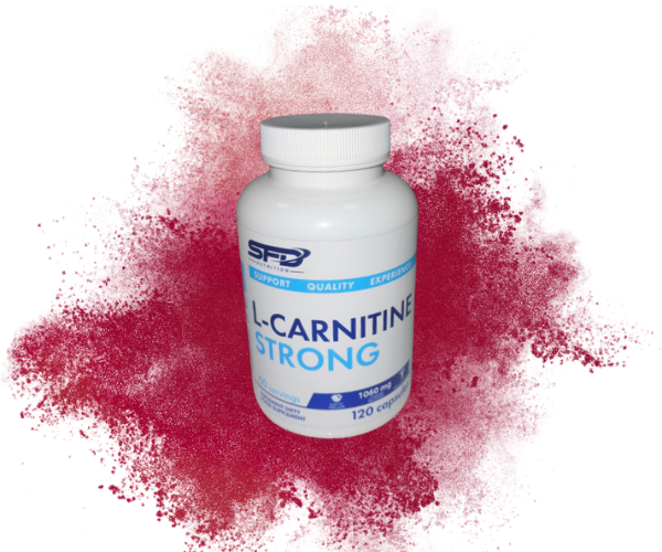 L-carnitine 120 capsulas sfd nutrición